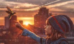 Featured image of post [Typecho插件]阿里云OSS 图床外链