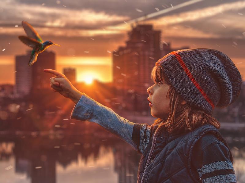 Featured image of post [Typecho插件]阿里云OSS 图床外链