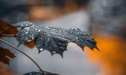 Featured image of post PHP 模拟 Javascript 位移运算函数