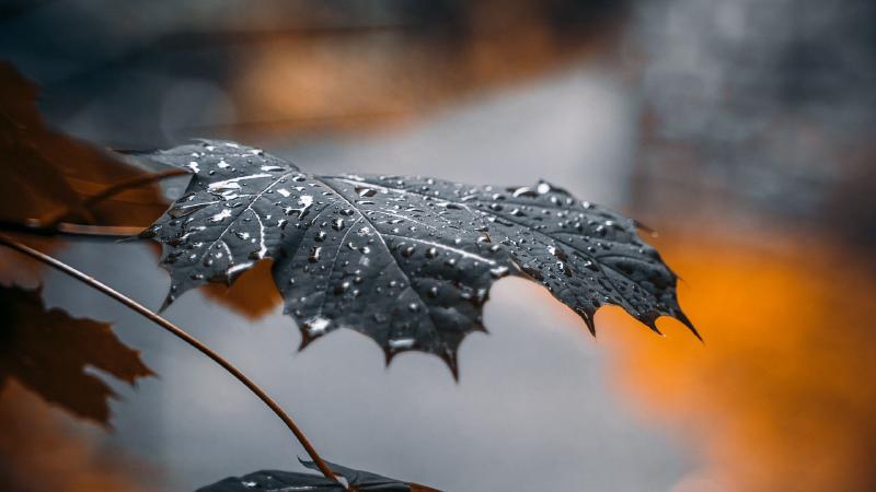 Featured image of post PHP 模拟 Javascript 位移运算函数