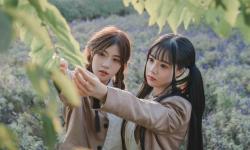 Featured image of post [PHP] 玖伍社区定时对接脚本