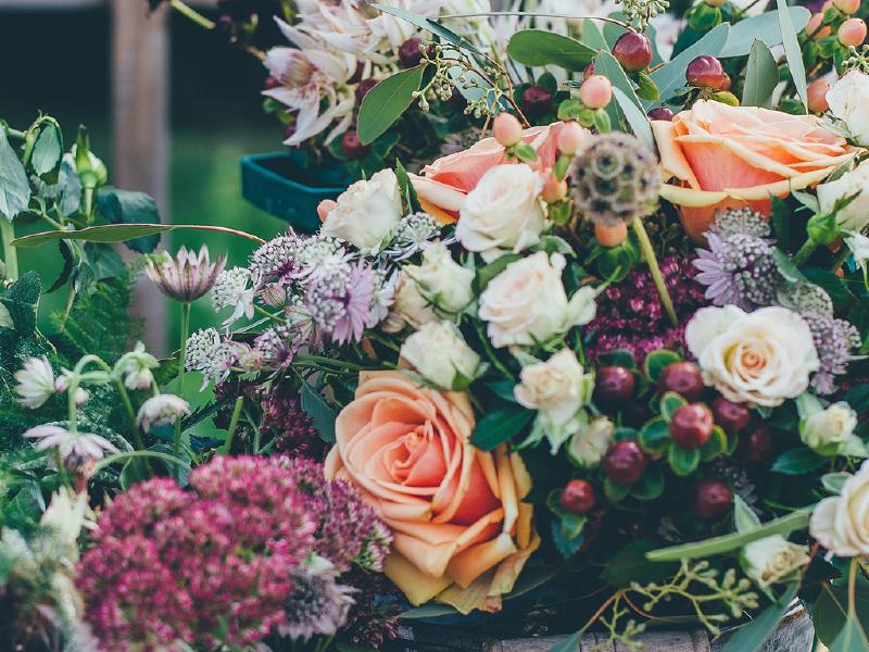 Featured image of post Telegram 2021最新收集IP网段（含IPV6）