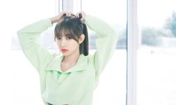 Featured image of post 宝塔面板禁用 套件推荐安装弹窗