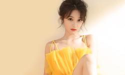 Featured image of post [PHP] IPV4 CIDR 范围判断函数