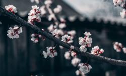 Featured image of post OpenWRT编译安装OpenSSH替代Dropbear