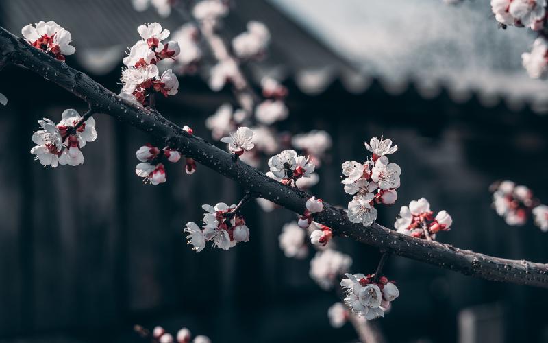 Featured image of post OpenWRT编译安装OpenSSH替代Dropbear