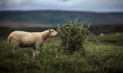 Featured image of post Failed to download metadata for repo ‘AppStream’