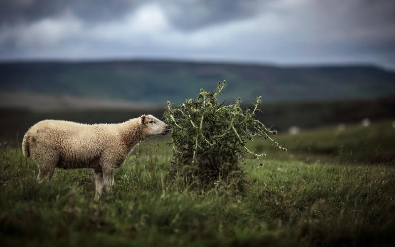 Featured image of post Failed to download metadata for repo ‘AppStream’