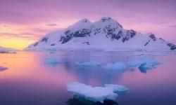 Featured image of post 使用php对Tron链进行Trx或USDT余额查询&amp;转账