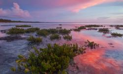 Featured image of post V2ray 反向代理 &amp; 内网穿透 简单配置