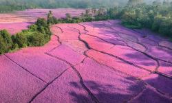 Featured image of post Iptables u32 “神”一样的模块