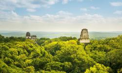 Featured image of post Golang 冒泡 排序 选择排序 具体实现