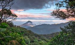 Featured image of post MySQL GTID主从同步配置(解决主库已有数据)