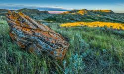 Featured image of post Docker 简单搭建人形机器人 PagerMaid