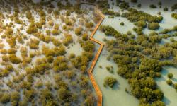 Featured image of post 利用Caddy2简单实现对Cloudflare反向代理