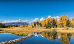 Featured image of post Caddy2快速实现对OpenAI反向代理