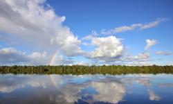 Featured image of post 解决谷歌邮箱SMTP发信IP泄漏问题