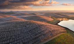 Featured image of post 2024 DigitalOcean VPS安装Win10(DD教程)