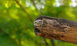 Featured image of post docker alist aria2 解决 failed to transfer file