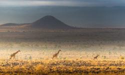 Featured image of post 利用 iptables 简单防御 Ack Flood