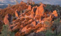 Featured image of post Caddy 配置获取真实客户端来源IP