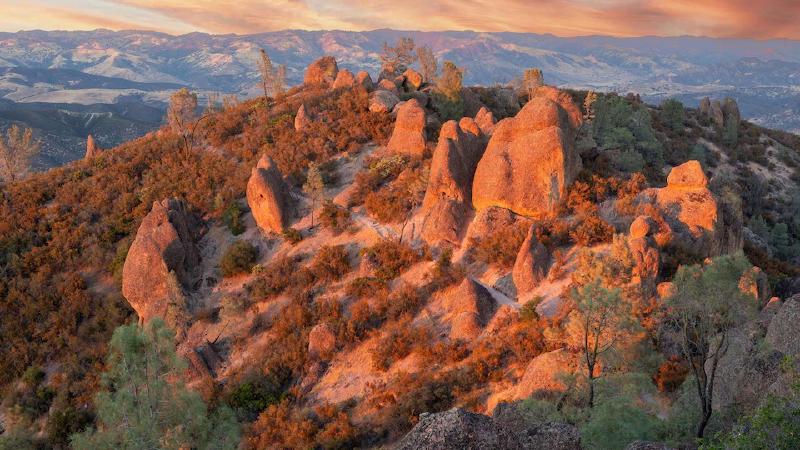 Featured image of post Caddy 配置获取真实客户端来源IP